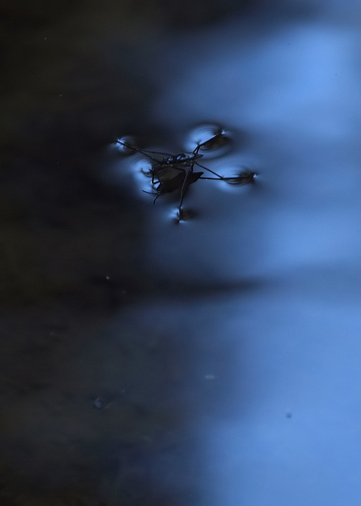 la leggerezza dell'essere 2