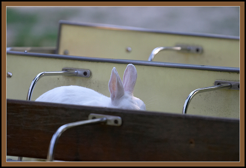 qui non mi vede nessuno