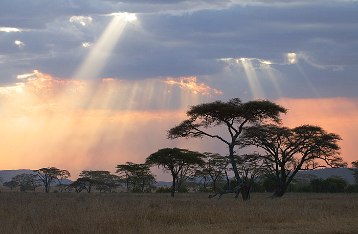 Tanzania I miss you ...