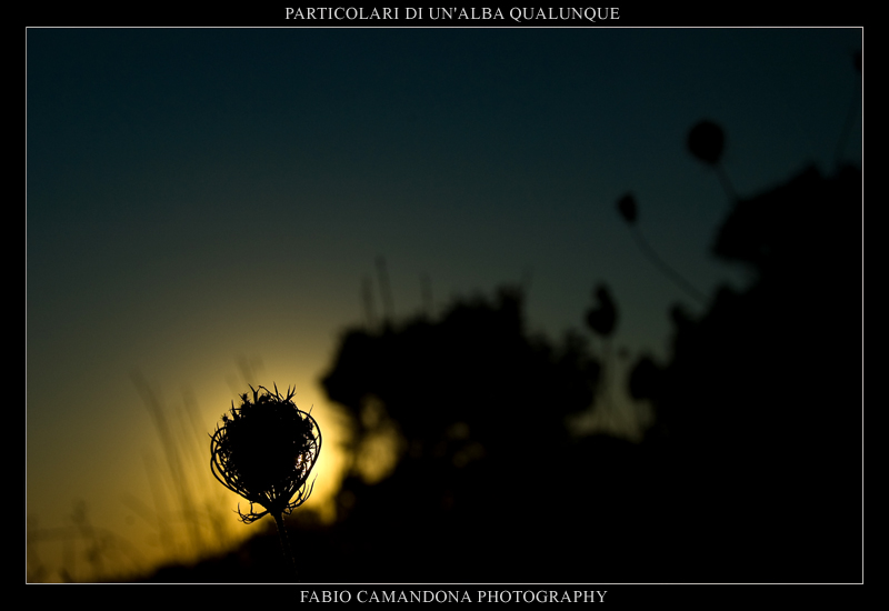 particolari di un'alba qualunque