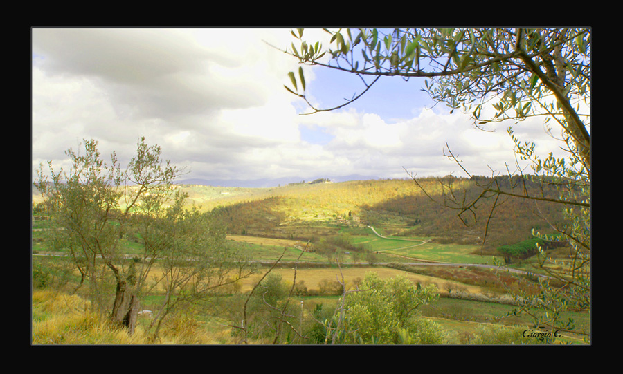 Passeggiando dietro Casa...1