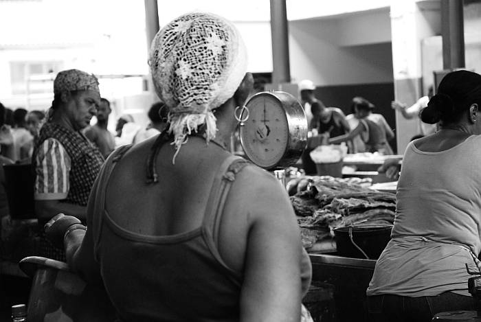 Mercato del pesce (5)