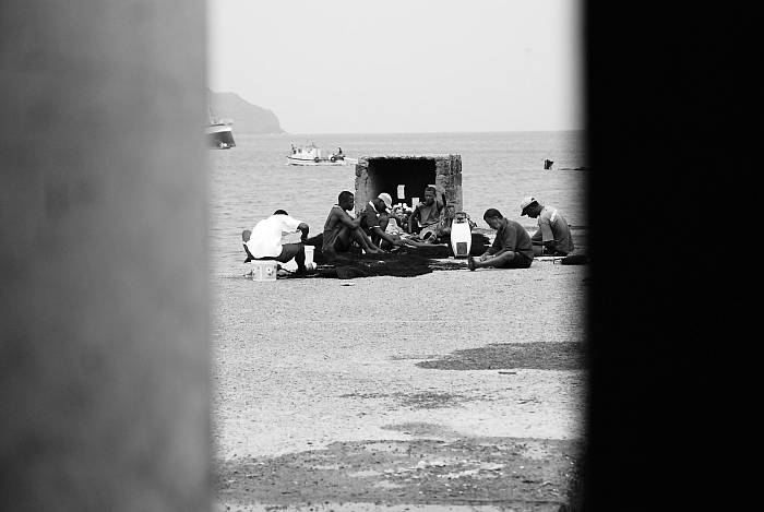 Mercato del pesce (6)