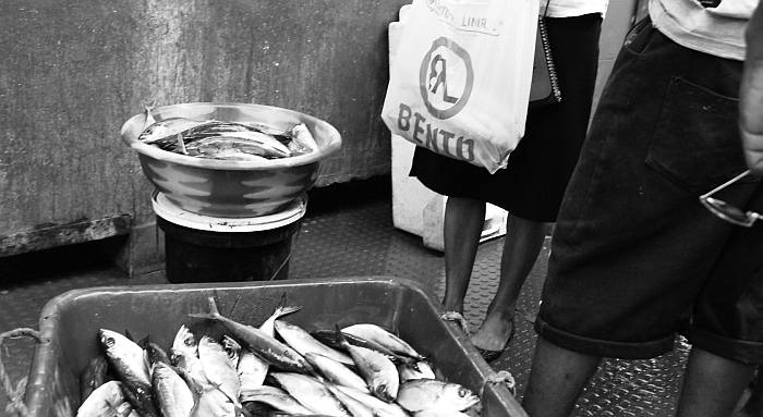 Mercato del pesce (9)