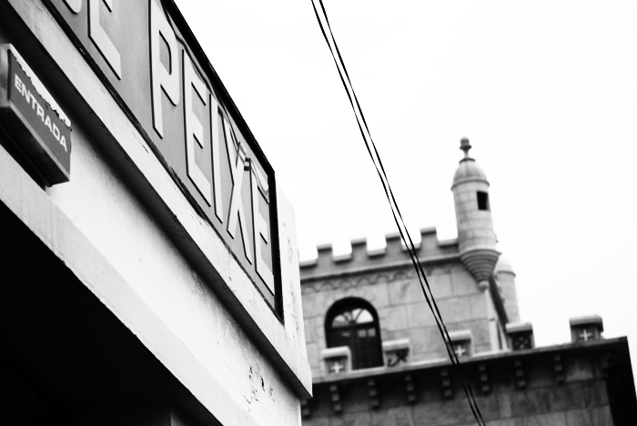 Mercato del pesce (13)