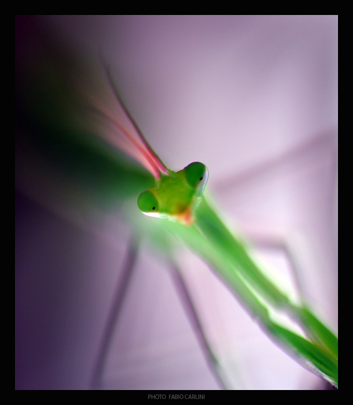 roba dell'altro mondo