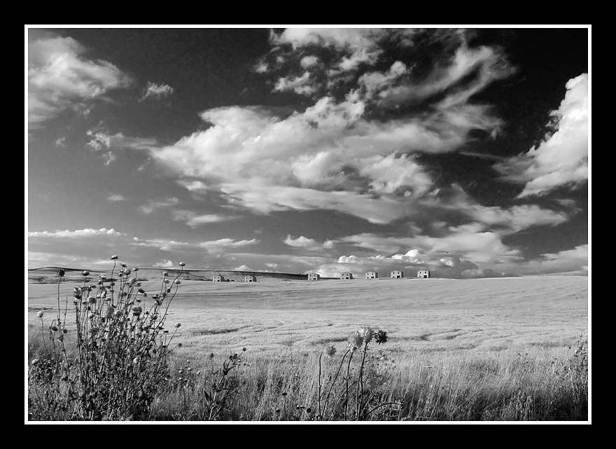 ...QUADRETTO RURALE...