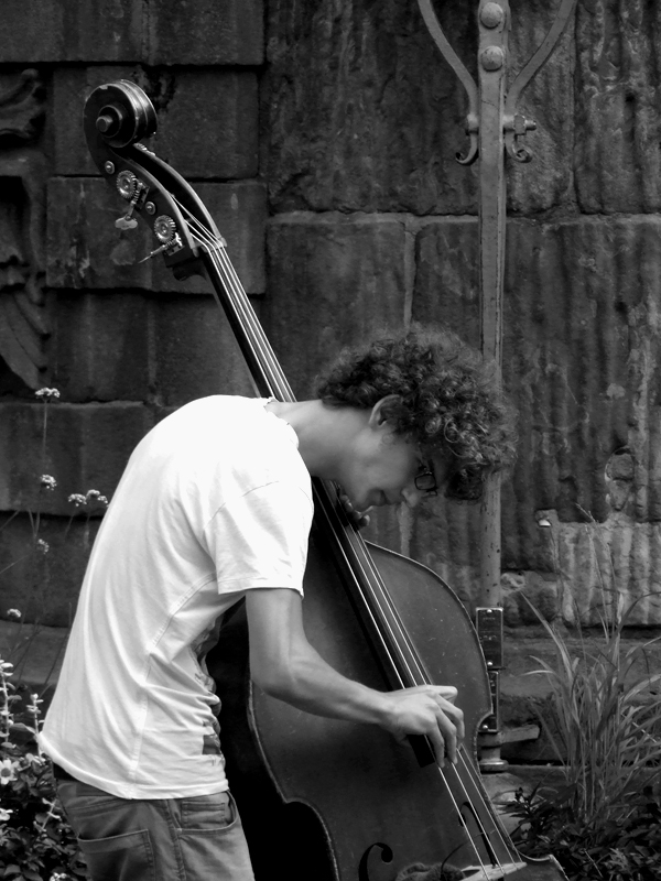 Contrabbassista