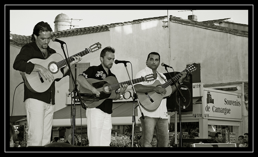 Ricordo della Camargue