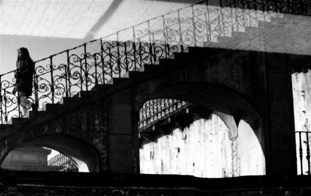 Villa medicea di Castello FI (riflessi)