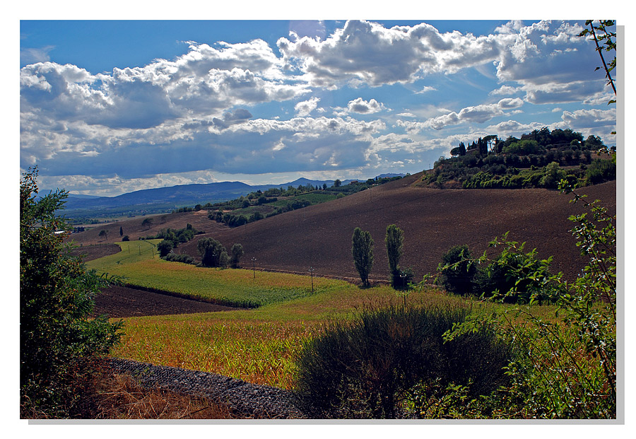 Terre trasimene 3