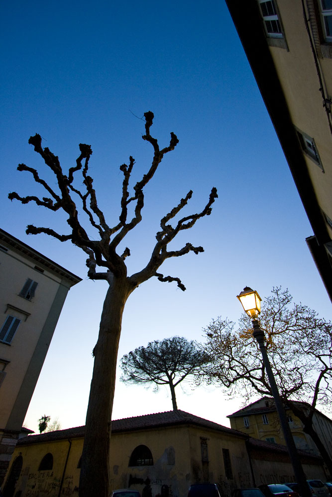 Scheletri al crepuscolo