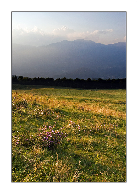 Una linea che divide