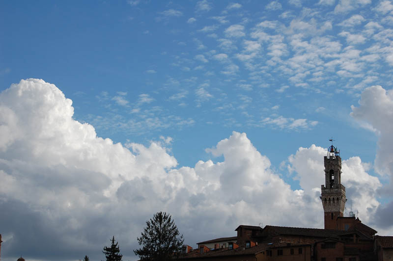 Siena [2]