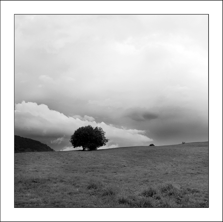 Quello che non c'�