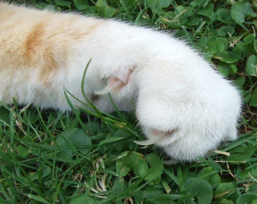 I ferri del mestiere