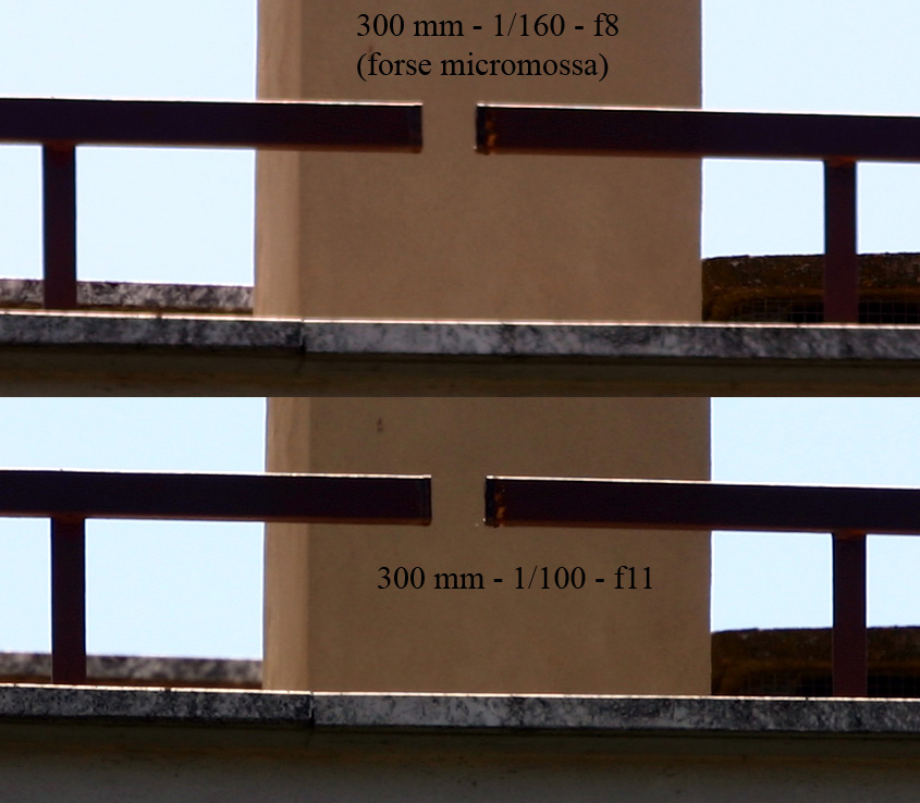 Crop 100% 300mm 2 di 2