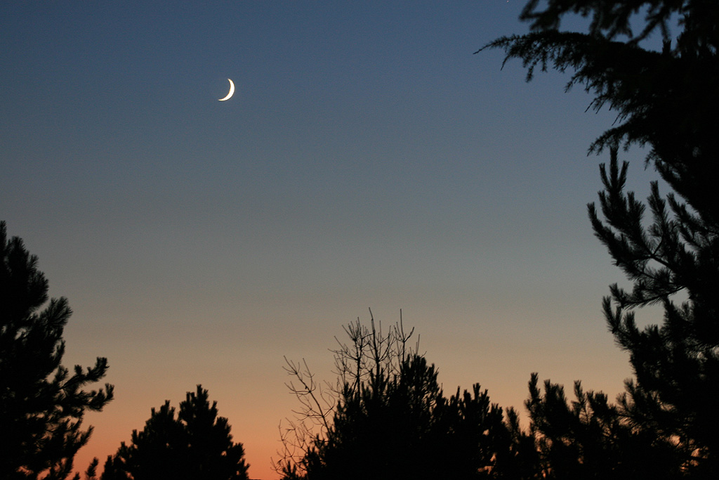 SORGE LA LUNA SUL MONTE