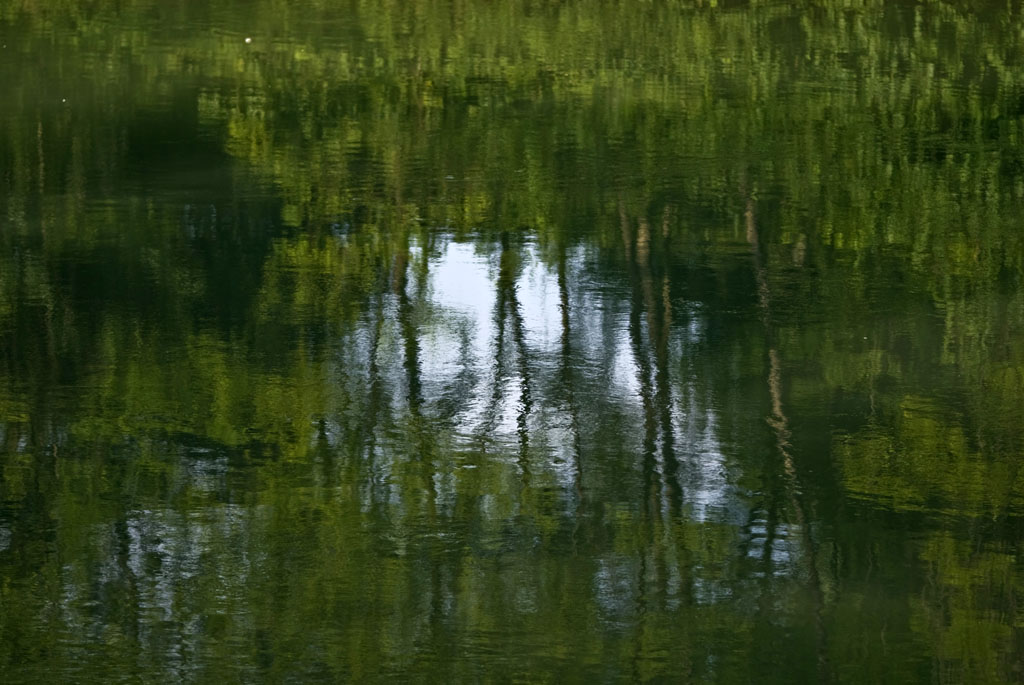 impressionismi naturali