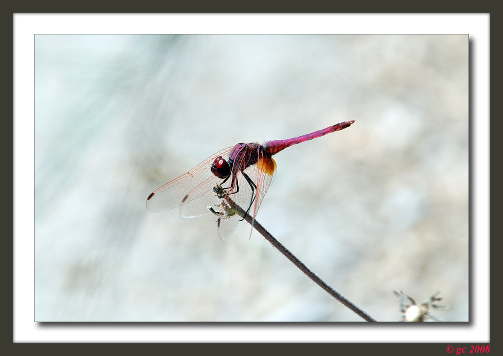 Lago d'Averno Napoli