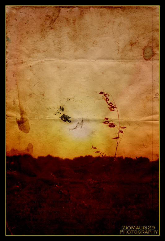 ..Dimmi A Che Serve Restare..