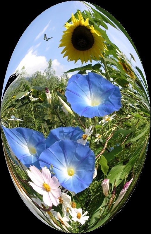 Conserviamo la natura