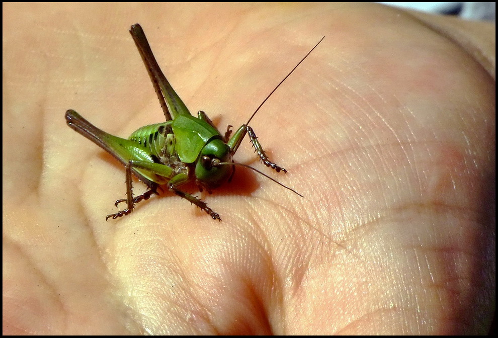 Nelle nostre mani....