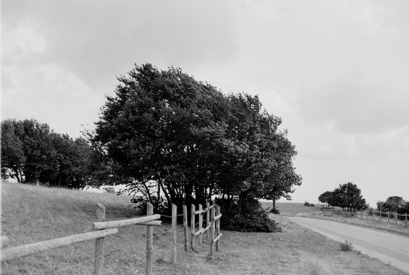 .: giornata ventosa :.