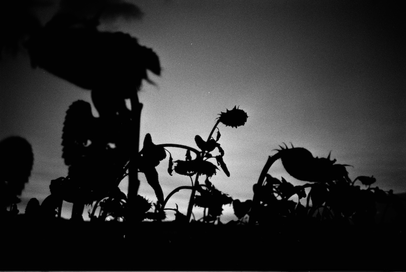 .: paesaggi notturni :.