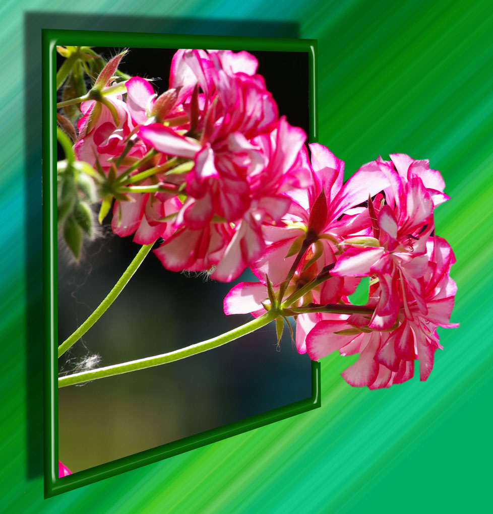 Out of bound.......Fiore