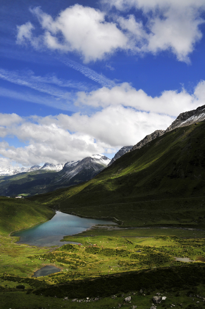I colori della Svizzera non sono rosso e bianco...