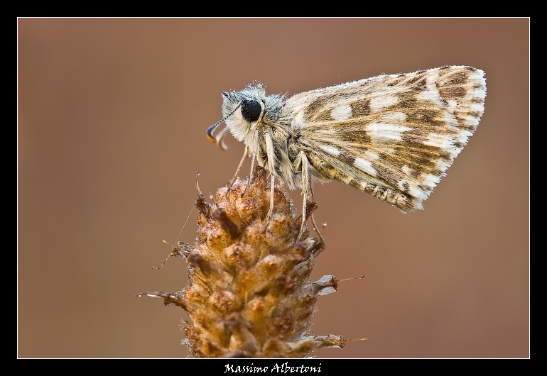 Chiss� che giornata mi aspetta!