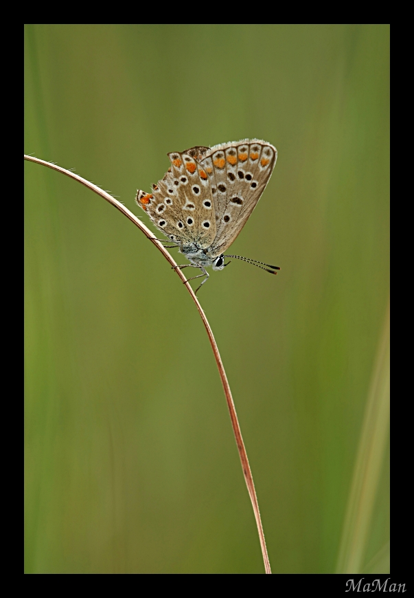 Scivolo sullo scivolo...