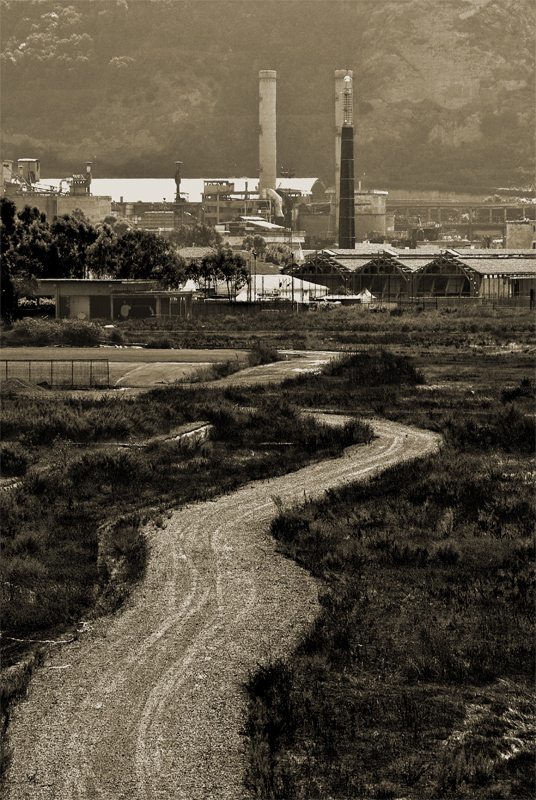 E' tutto ci� che resta