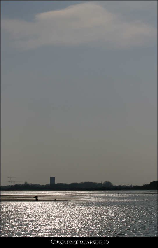 Cercatore di Argento