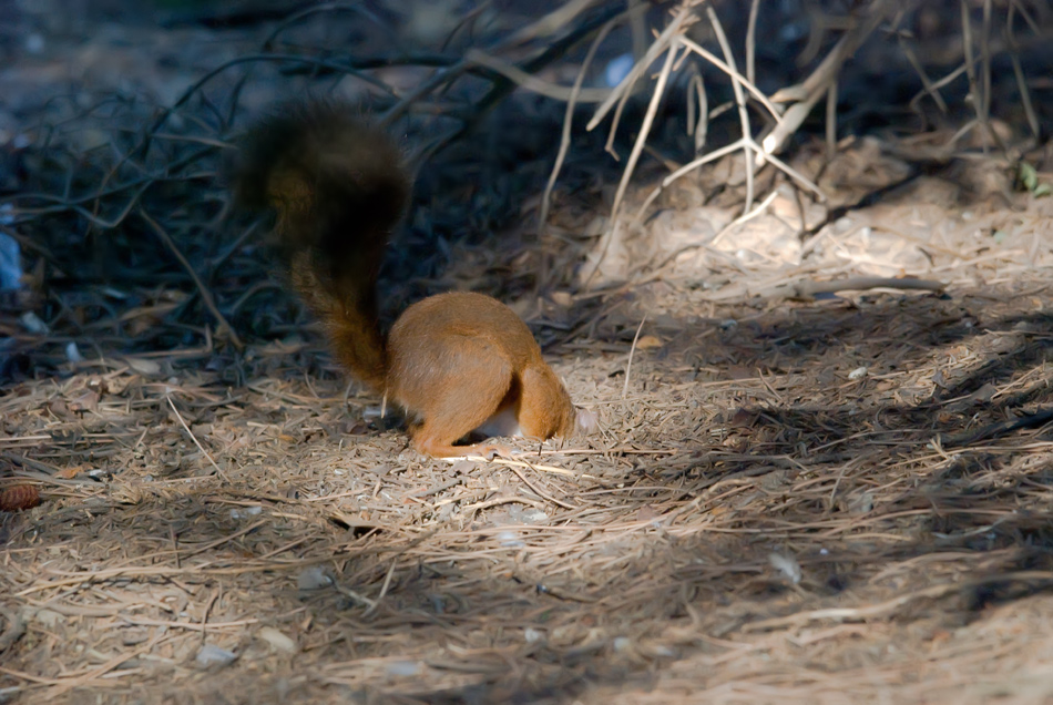 Cosa c'� rimasto nella dispensa?