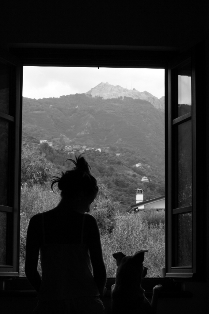 Una finestra per due...ed un ospite insolito!