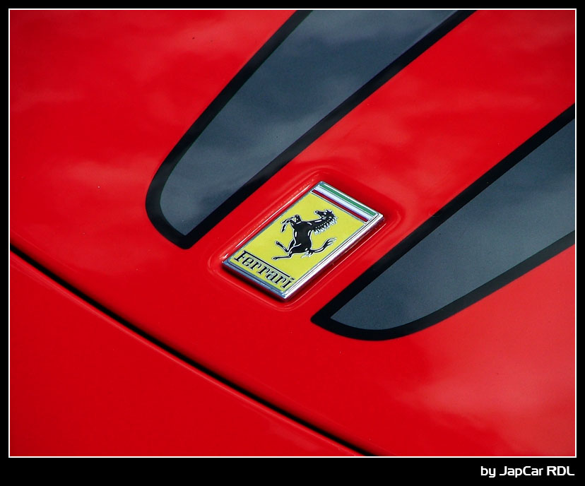 Cavallino