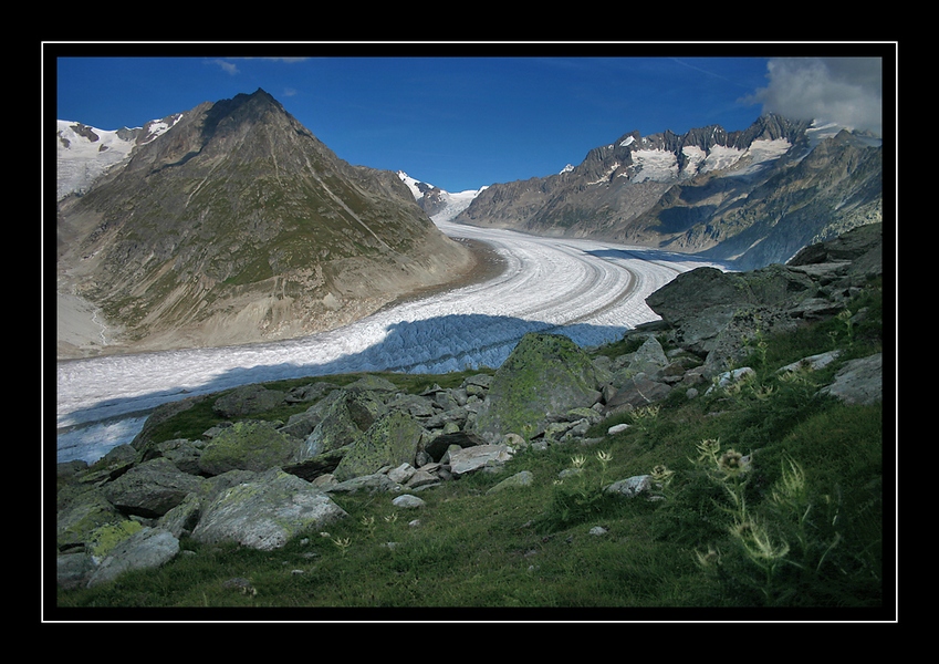 Ghiacciao dell'Aletsch