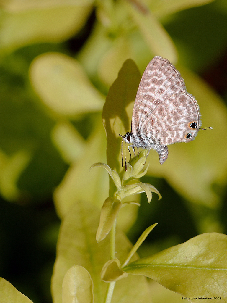 ...sono stanca e accaldata...!!!