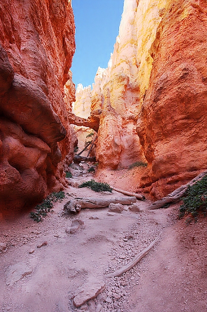 Esplosione di colori - Bryce Canyon (Utah)