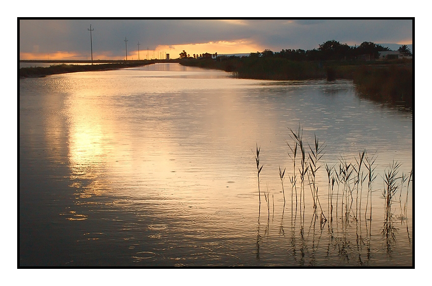 ...LA PIOGGIA VIEN GIU'...