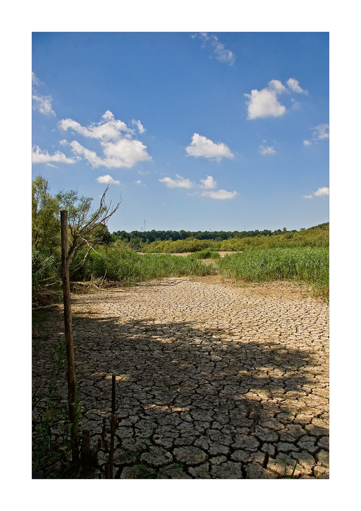 Il letto del fiume Sele
