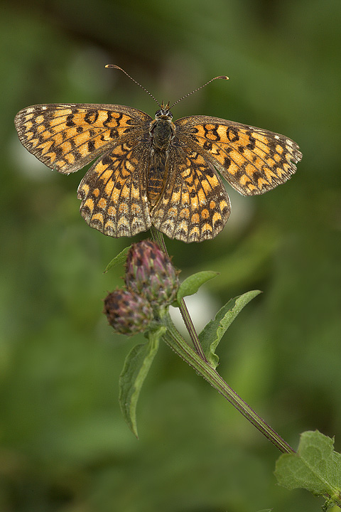 L'estate st� finendo.