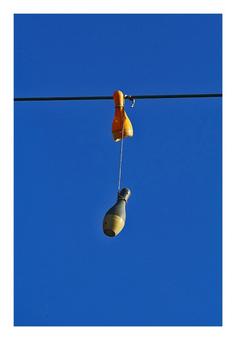 Non si uccidono cosi anche i birilli?