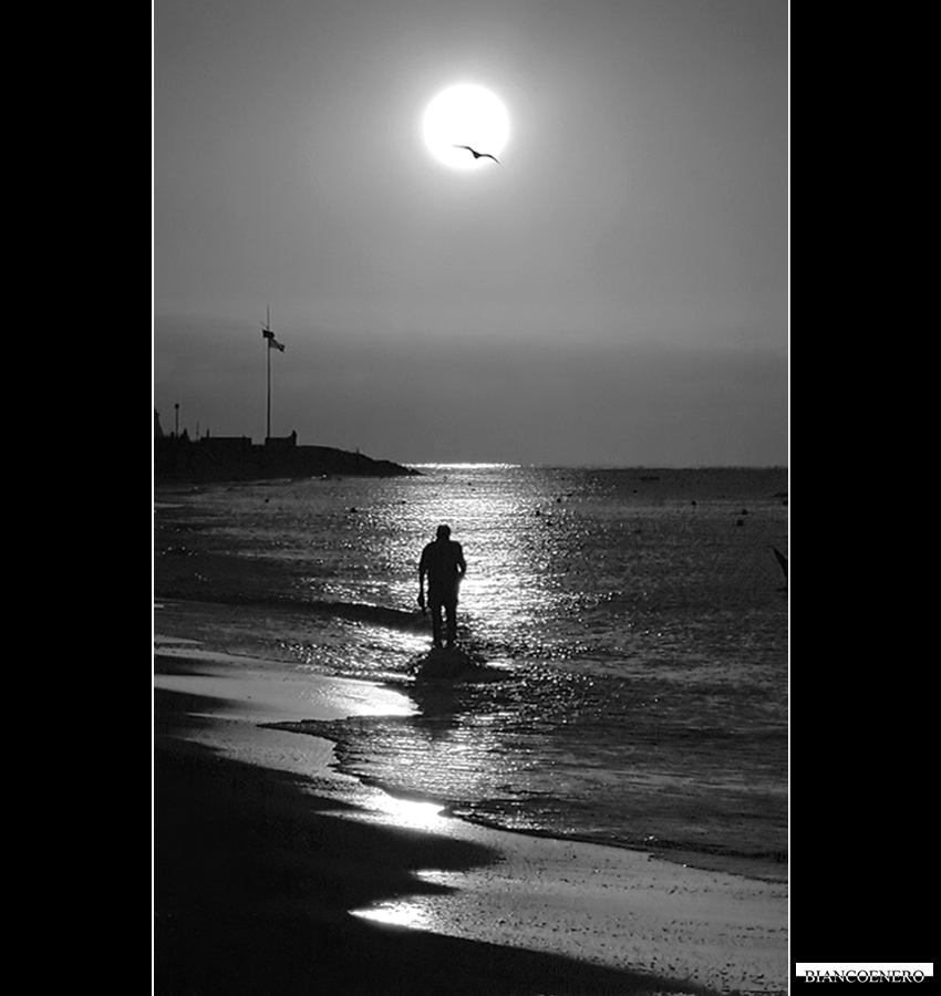 ::: VERSO LA LUCE :::