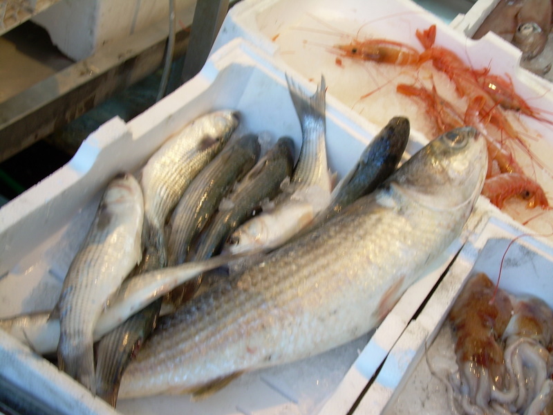 MERCATO DEL PESCE