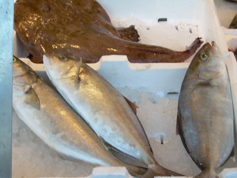 MERCATO DEL PESCE