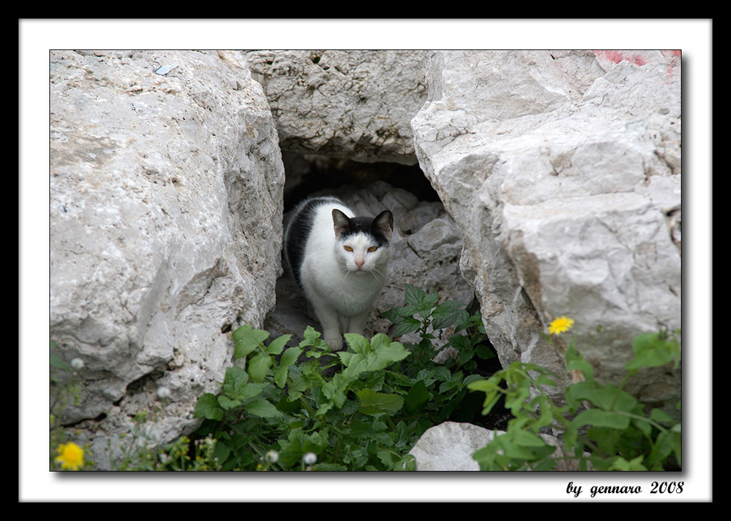 Napoli: molo di Via Caracciolo