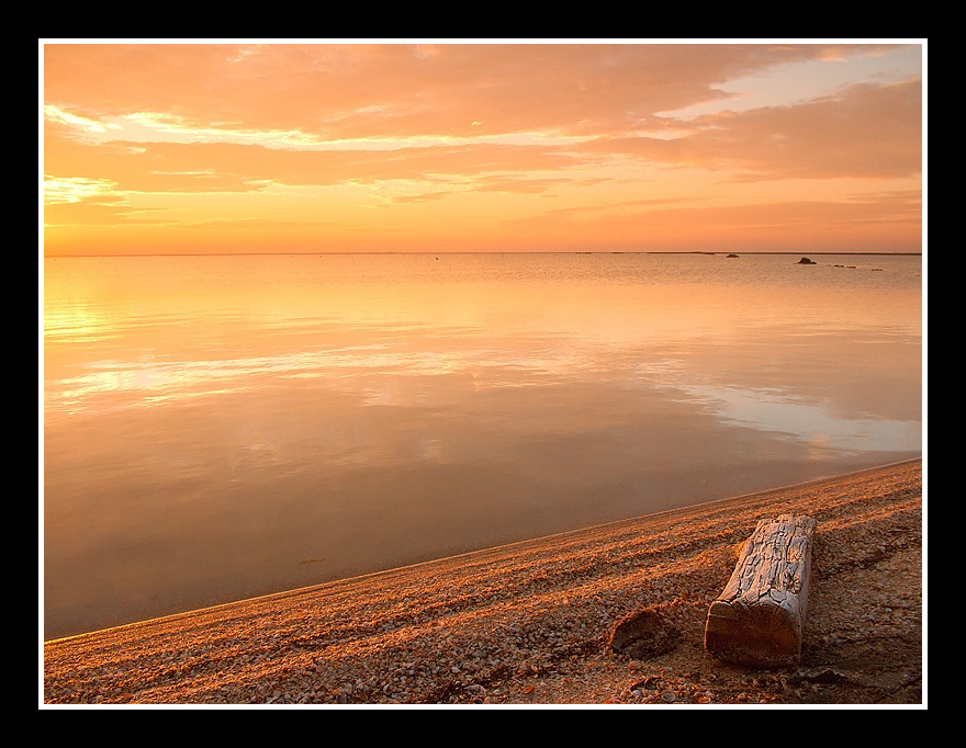 ...WOOD ON THE BEACH...